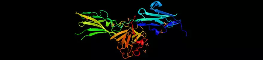 Fibroblast Growth Factor Receptors Background