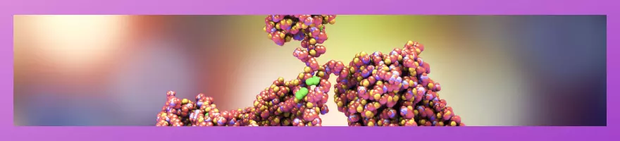 Antibody Validation Background