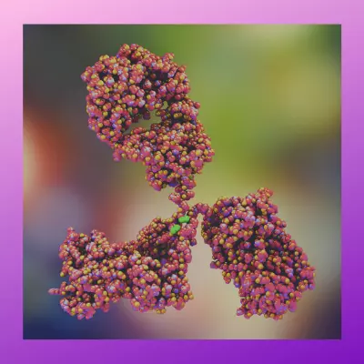Antibody Validation