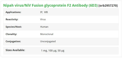 Nipah virus/NiV Fusion glycoprotein F2 Antibody