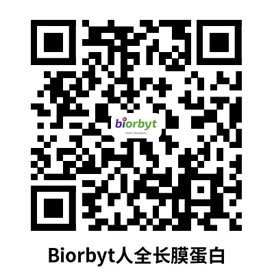 药物靶点功能性蛋白：人全长膜蛋白-合成纳米圆盘（Synthetic Nanodisc）系列4