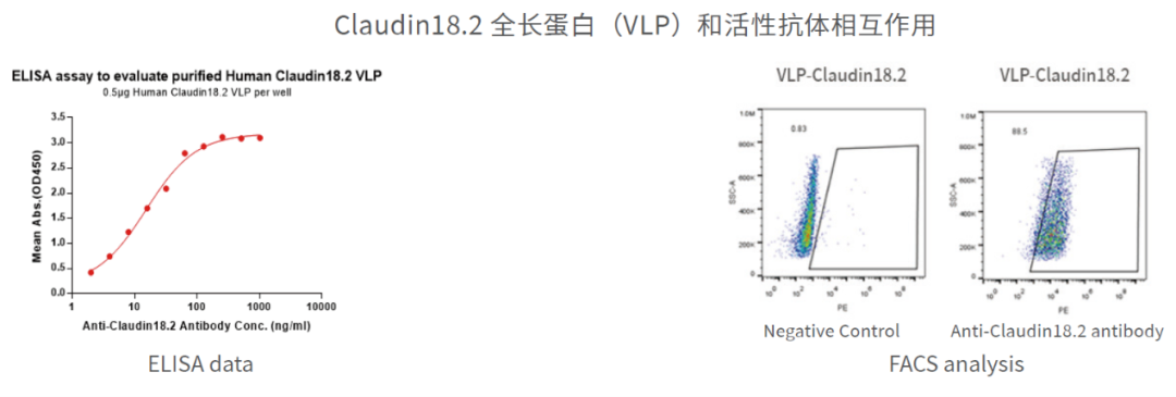 Features Drug Target Functional Protein 5