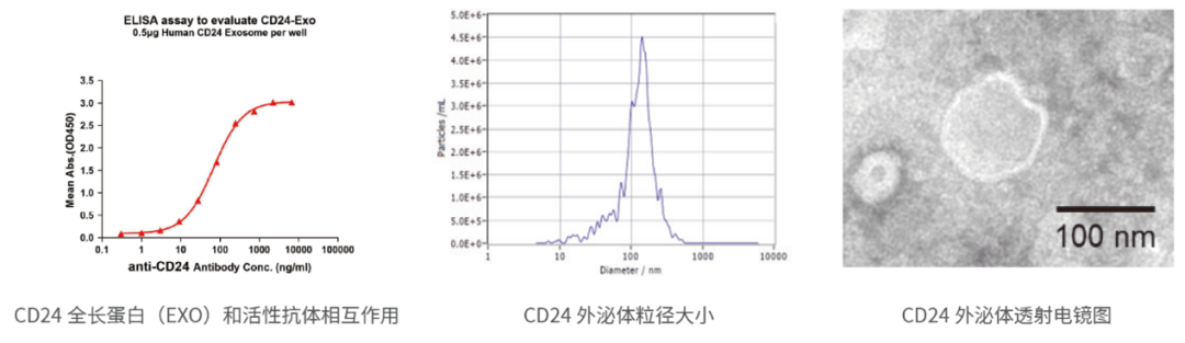 Features Drug Target Functional Protein 3