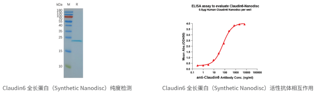 Features Drug Target Functional Protein 1