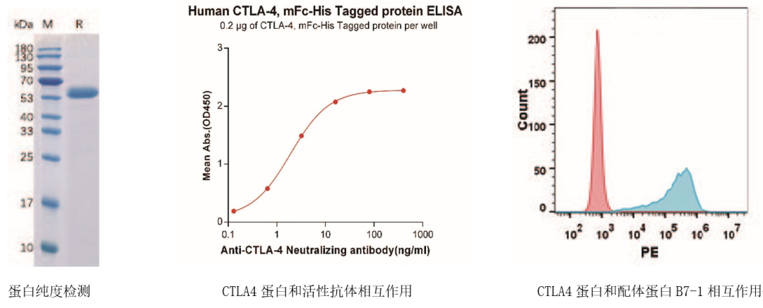 Features Drug Target Functional Protein 6
