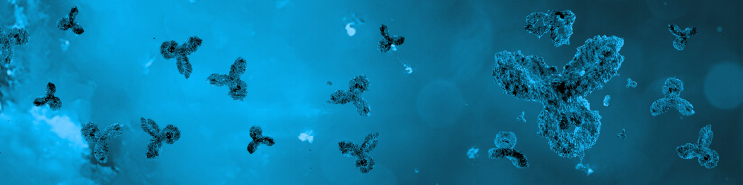 Rabbit Monoclonal Antibody Development Banner