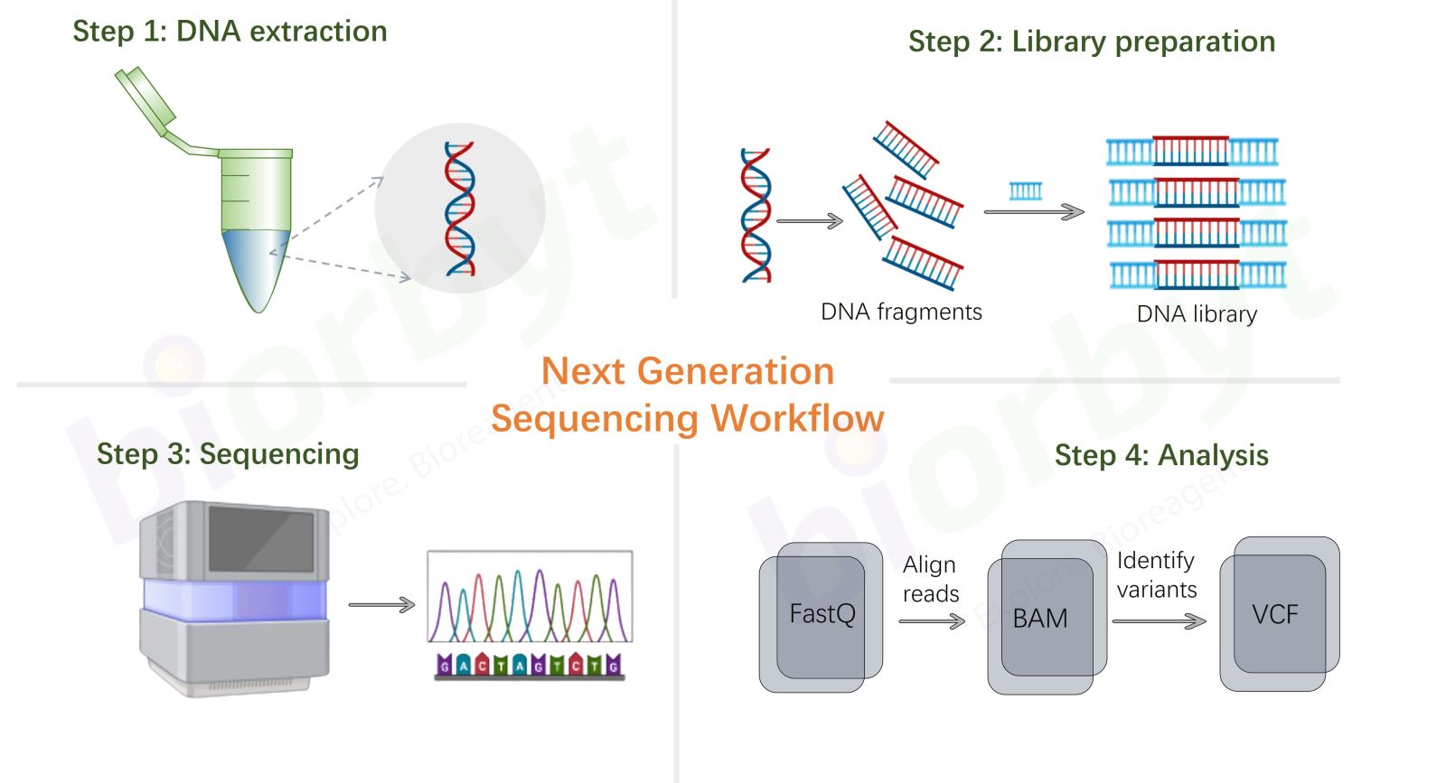 Next Generation Sequencing DNA Analysis