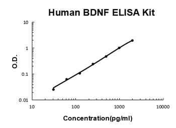 Human BDNF Quick ELISA Kit Plate and Reagents
