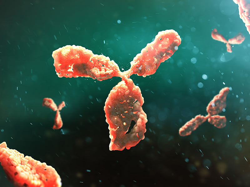 Pathway Specific Antibody Panels