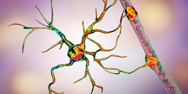 Parkinson's Disease Guide