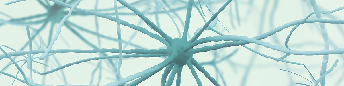 Neuroscience