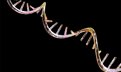 Genetics