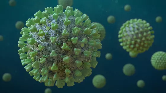 Infectious Disease & Virology