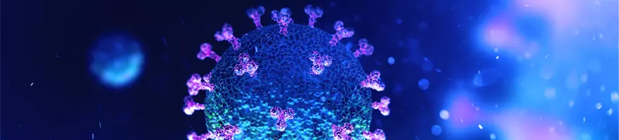 Coronavirus Spike Protein Background