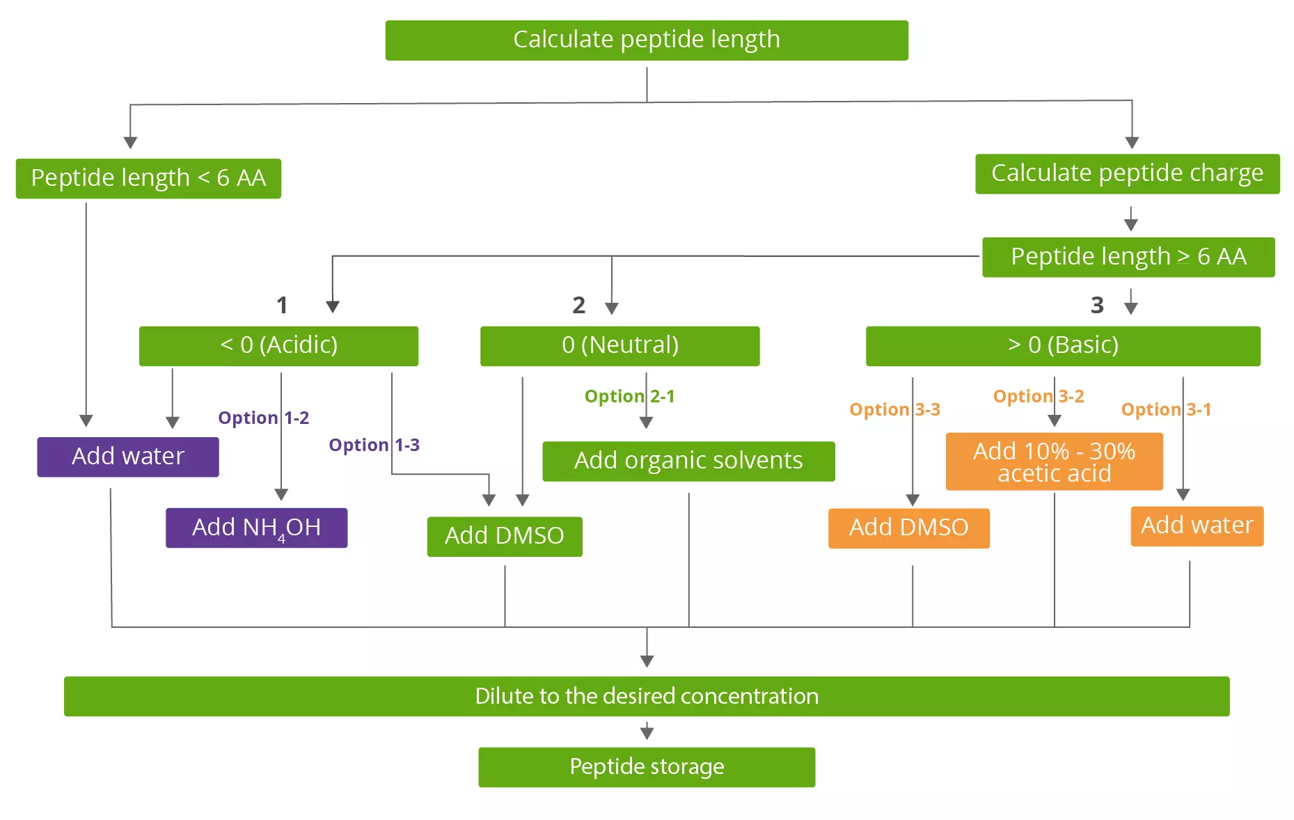 Peptide Dissolving Workflow Diagram