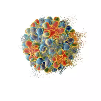 Hepatitis B and C