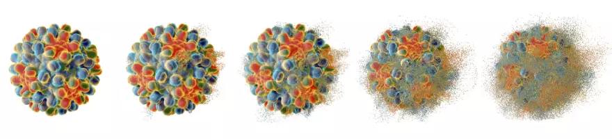 Hepatitis Viral Destruction Background