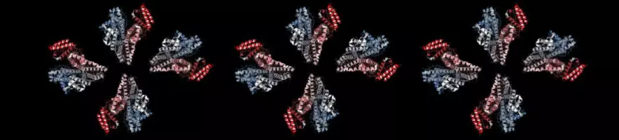 Human Serum Albumin Background