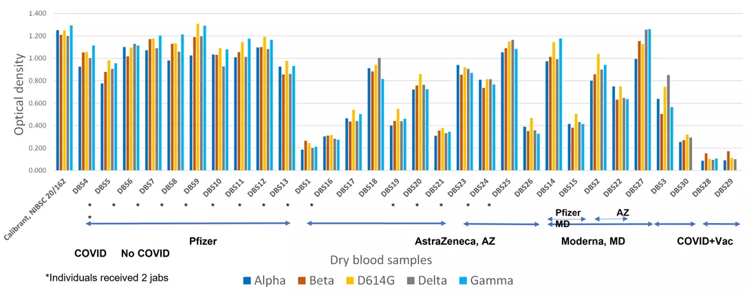 Graph showing immune responses to variants of concern