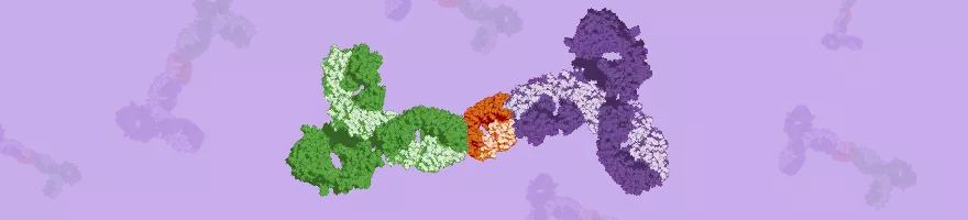 Matched Antibody Pairs Banner Background