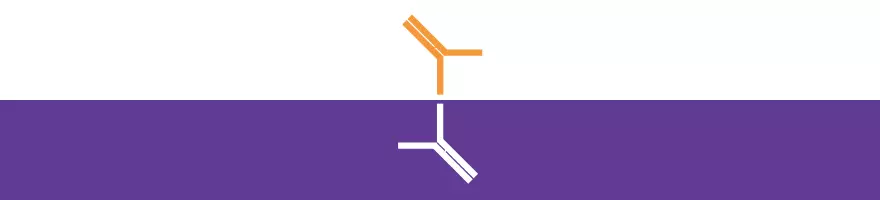 Matched Pair Antibodies Background