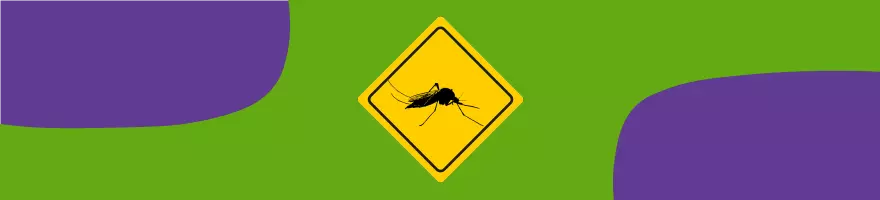 Mosquito-Borne Diseases Background