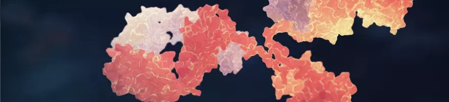 Monoclonal Antibodies Banner Background