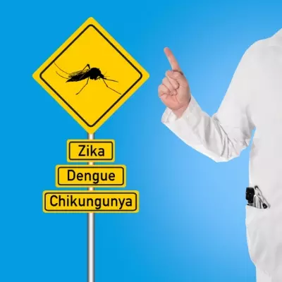 Mosquito-borne diseases