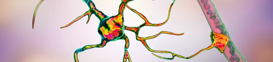 Neurodegenerative Diseases Background