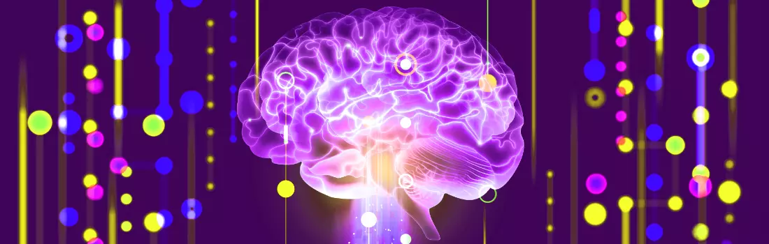 Neuroscience Background