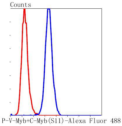 V-Myb/C-Myb(Phospho-Ser11) Rabbit mAb Antibody