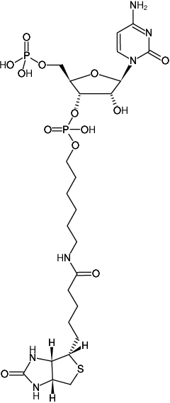 pCp-Biotin