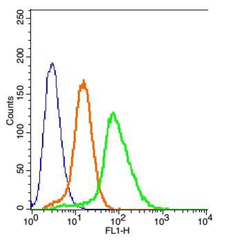 LAR Polyclonal Antibody