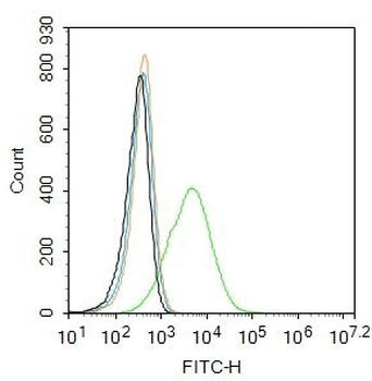LAR Polyclonal Antibody