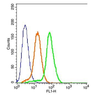 MC4 Receptor Polyclonal Antibody