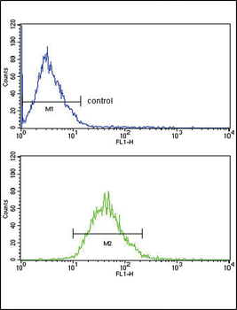 LDLR Antibody (Center)