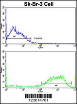 ABI1 Antibody (N-term)