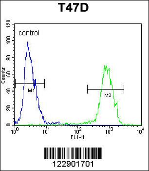 PENK Antibody (Center)