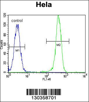 EPOR Antibody (Center)