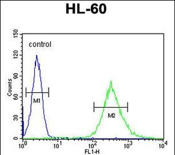 ENASE Antibody (Center)