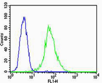 VEGFR3 Antibody