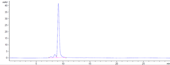 PRAME Reference Antibody