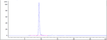 PMEL Reference Antibody