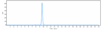 CEACAM5 / CEA / CD66e Reference Antibody (labetuzumab govitecan)