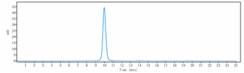 BST2 / CD317 Reference Antibody
