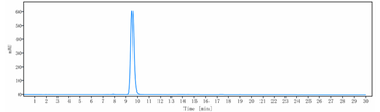 Amyloid Beta Reference Antibody