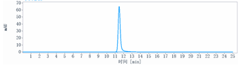 VEGF Reference Antibody
