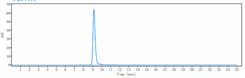 ERBB1 / EGFR / HER1 Reference Antibody (panitumumab)