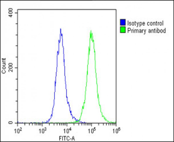 APLP1 Antibody (C-Term)