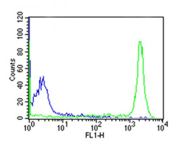 human CD45 Antibody
